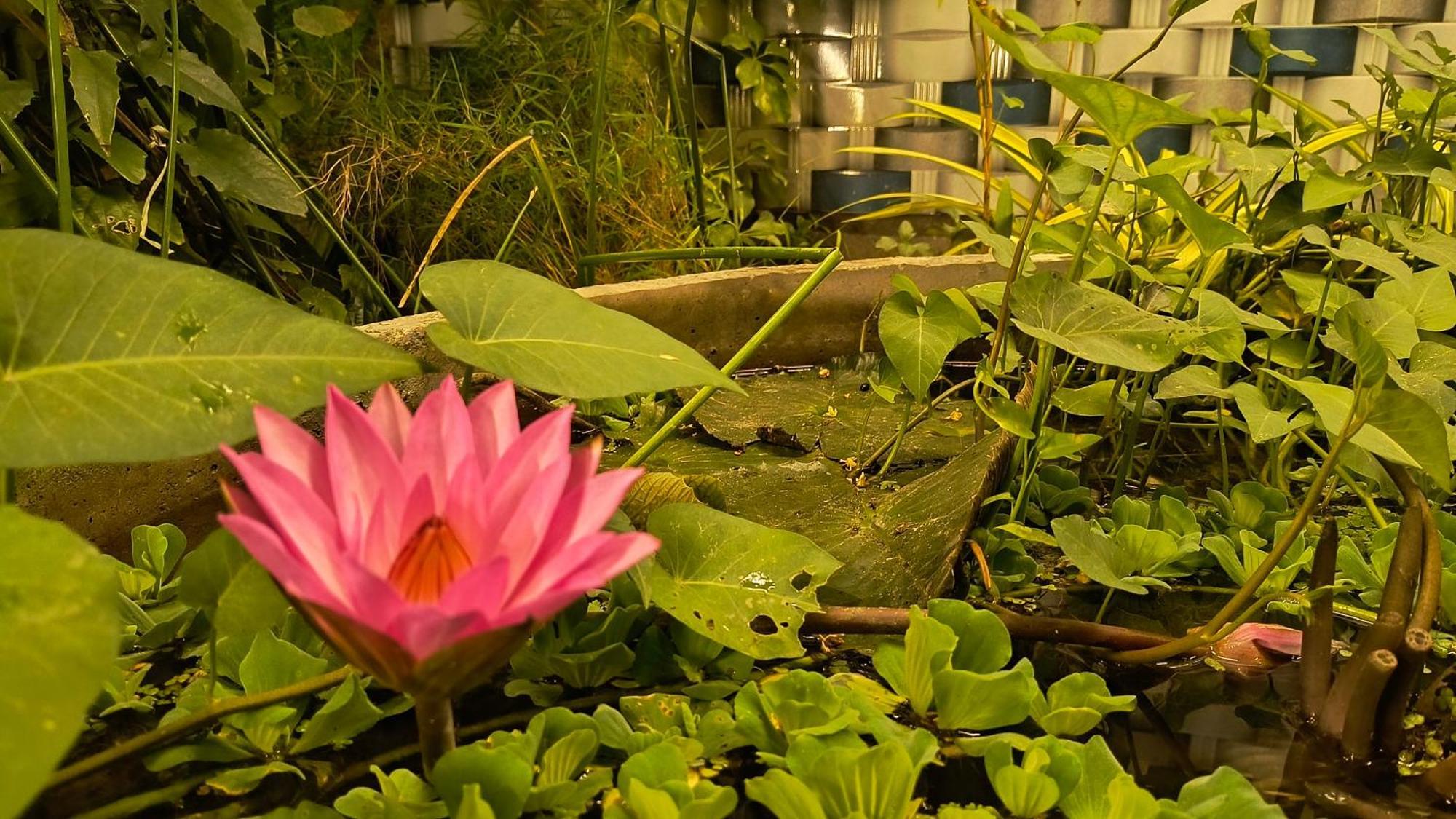 Gt Guest House Virampattinam Exterior foto